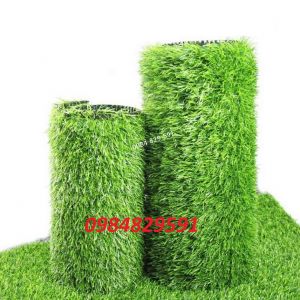 Cỏ nhân tạo sợi cỏ cao 3cm